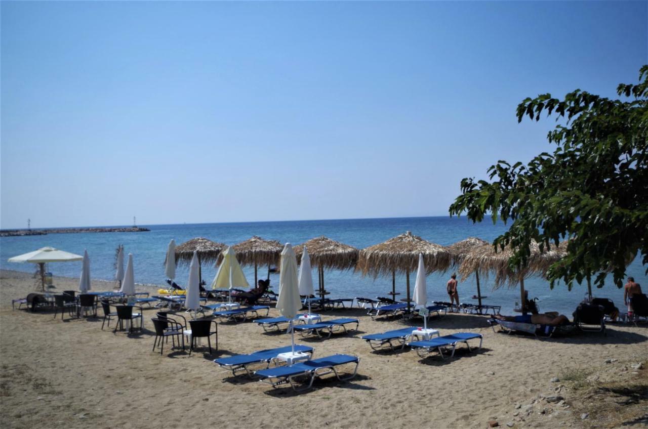 Anesis Luxury *